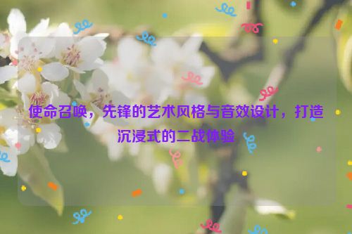 使命召唤，先锋的艺术风格与音效设计，打造沉浸式的二战体验